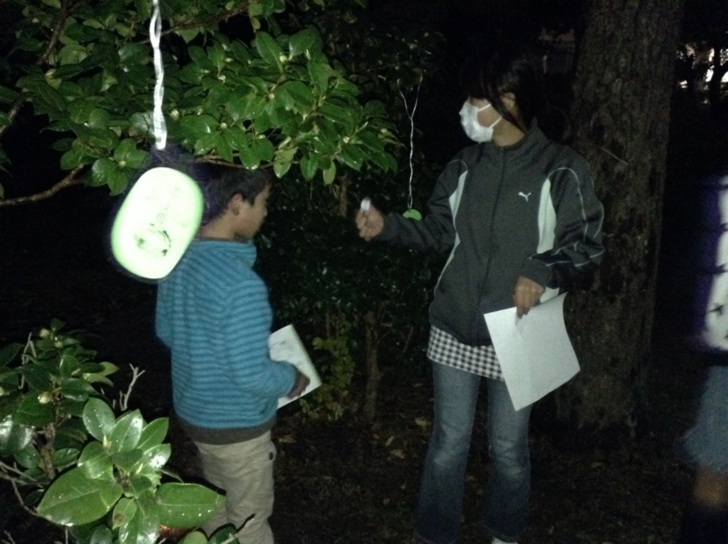 f:id:tsuchilab:20131205164810j:plain