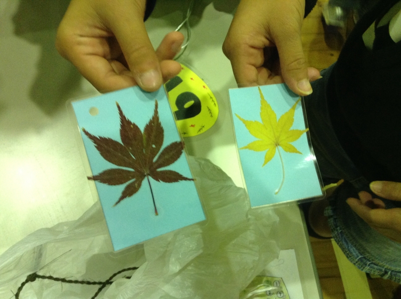 f:id:tsuchilab:20131205164827j:plain