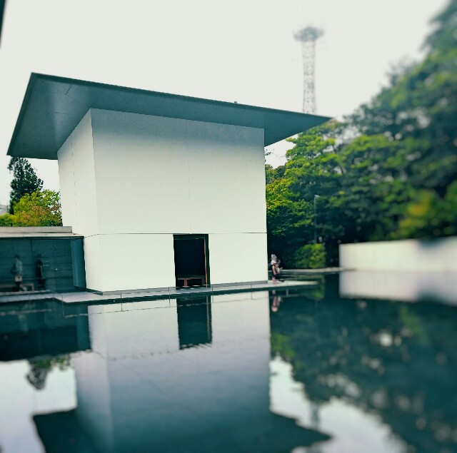 f:id:tsugukutani:20160613094104j:image f:id:tsugukutani:20160613094104j:image