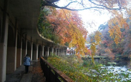 f:id:tsugumi711:20071213231243j:image f:id:tsugumi711:20071213231243j:image
