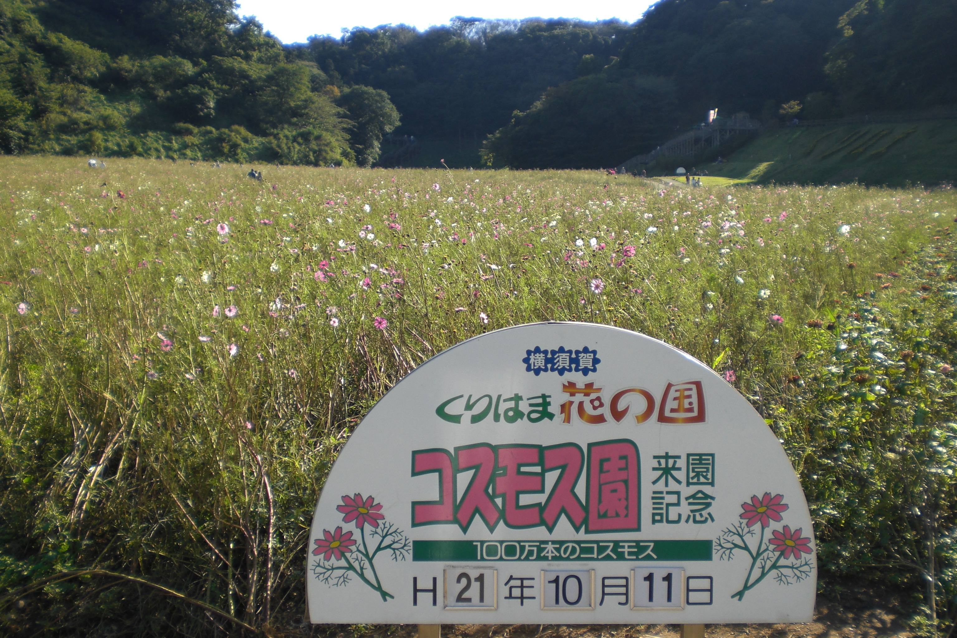 f:id:tsugumi711:20091011142944j:image:w400 f:id:tsugumi711:20091011142944j:image:w400