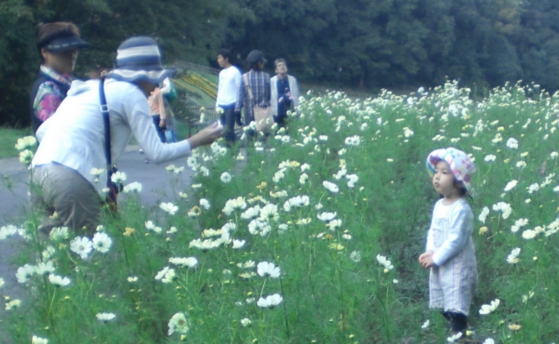 f:id:tsugumi711:20091011152918j:image:w400 f:id:tsugumi711:20091011152918j:image:w400