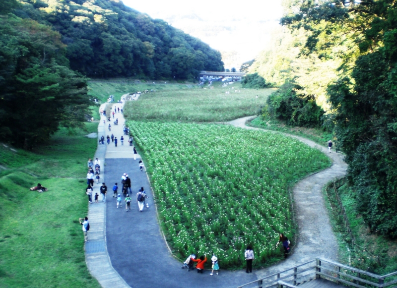 f:id:tsugumi711:20091011153224j:image:w400 f:id:tsugumi711:20091011153224j:image:w400