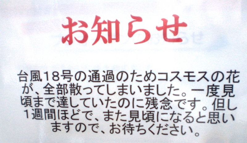 f:id:tsugumi711:20091011153324j:image:w400 f:id:tsugumi711:20091011153324j:image:w400