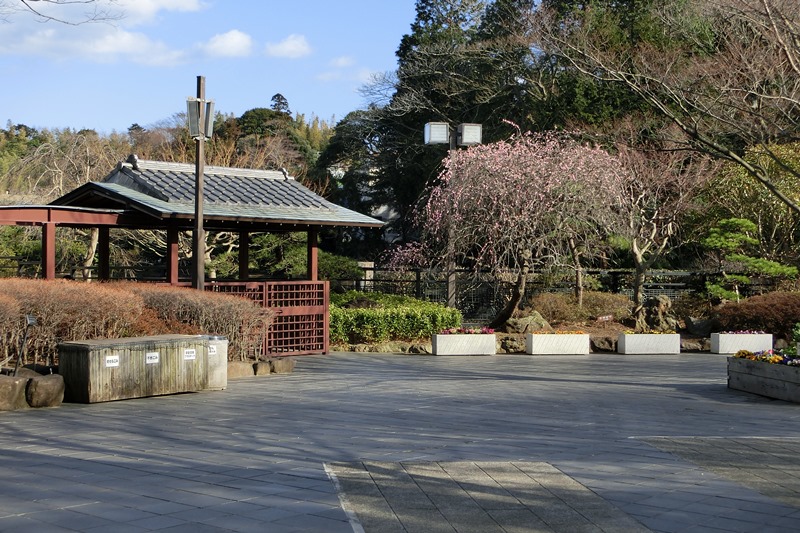 f:id:tsugumi711:20150311153901j:image:w400 f:id:tsugumi711:20150311153901j:image:w400