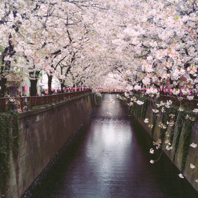 f:id:tsuguniph:20150404000309j:plain f:id:tsuguniph:20150404000309j:plain