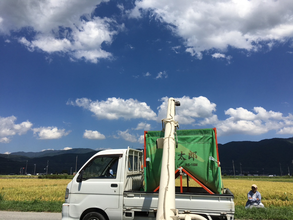 秋の雲と稲刈り