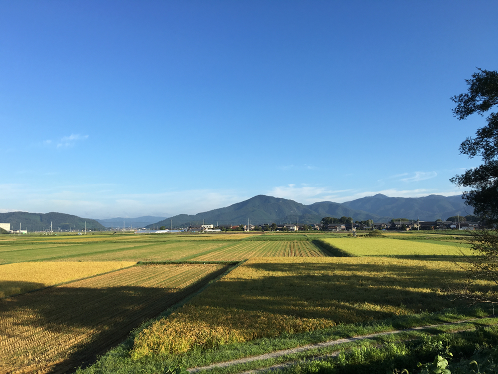土曜日の朝