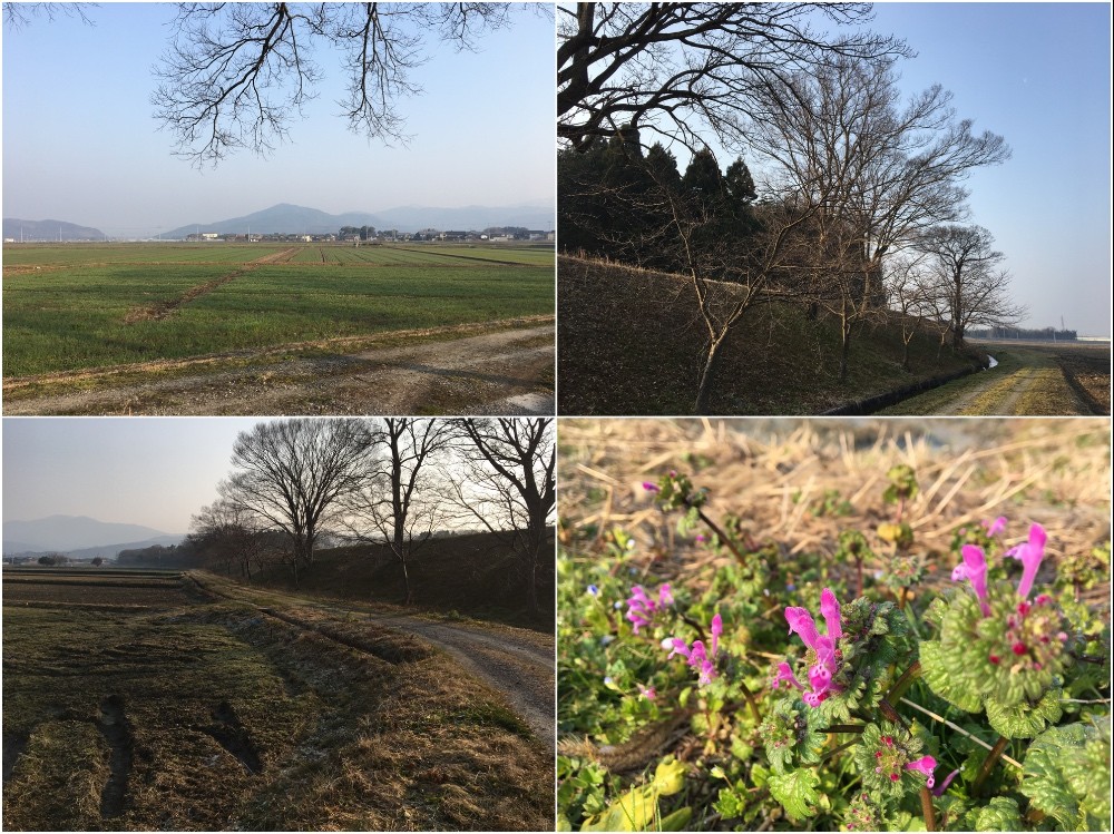 春分の日の鳥の囀りの朝