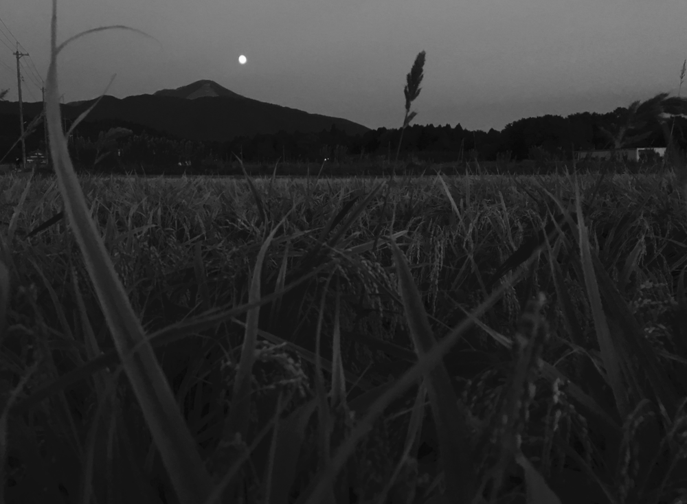 旧暦八月十五日の月
