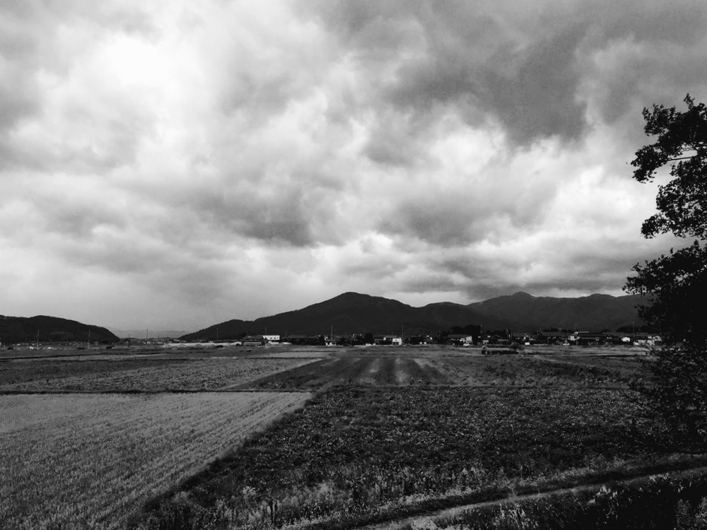 今朝の雲