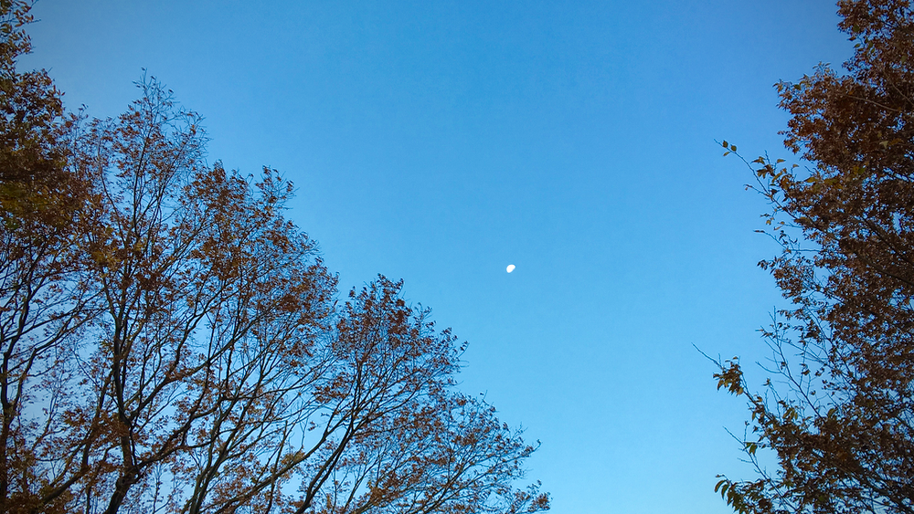 今朝の残月。旧暦では長月21日である。