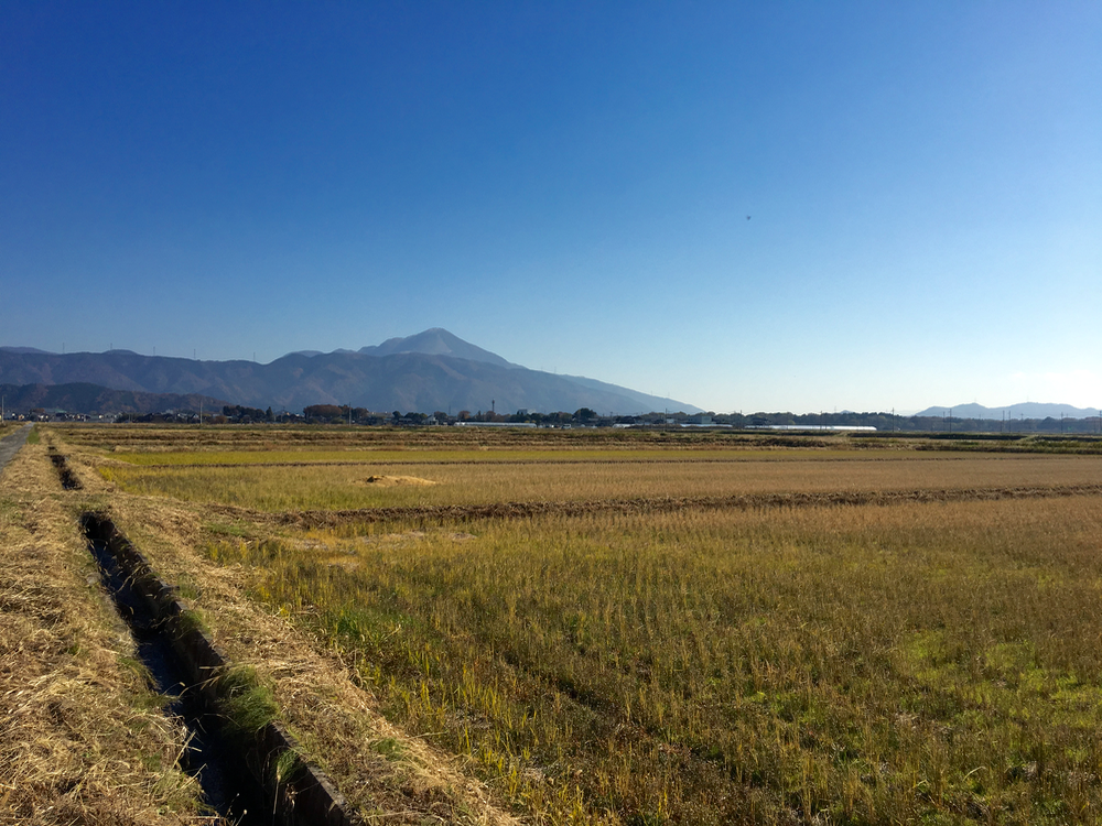 小春日和の空と田んぼと伊吹山