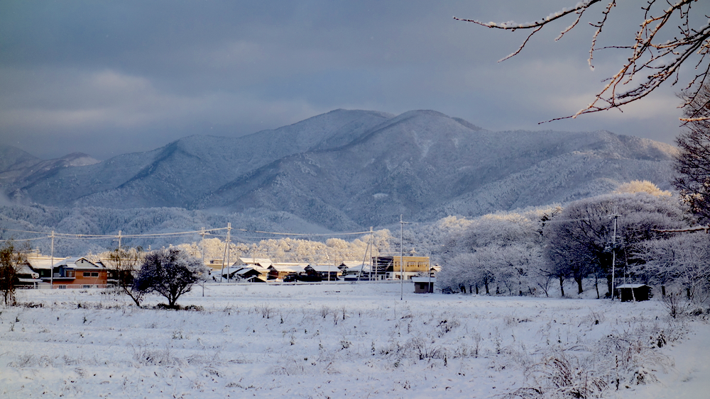 雪道の朝の散歩