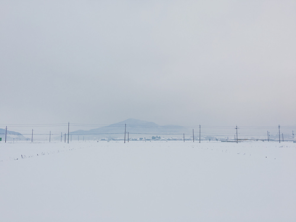 29日の朝の田んぼの向こうの小谷山