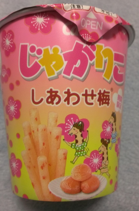 f:id:tsukasamikami:20160120214344j:plain f:id:tsukasamikami:20160120214344j:plain