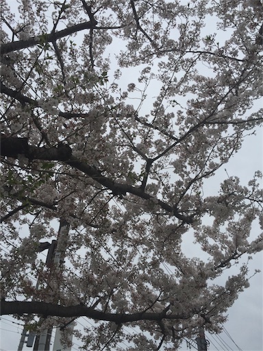 f:id:tsukumo235191:20160410150304j:image f:id:tsukumo235191:20160410150304j:image