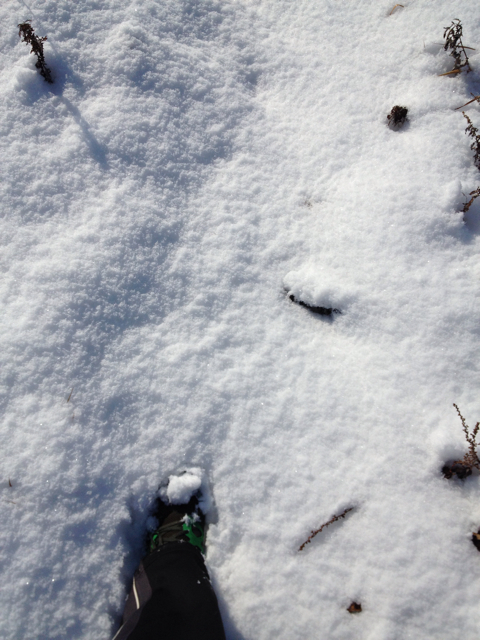 f:id:tsumutsumu2:20130127214208j:plain f:id:tsumutsumu2:20130127214208j:plain