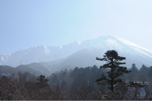 f:id:tsumutsumu2:20130201003359j:plain f:id:tsumutsumu2:20130201003359j:plain