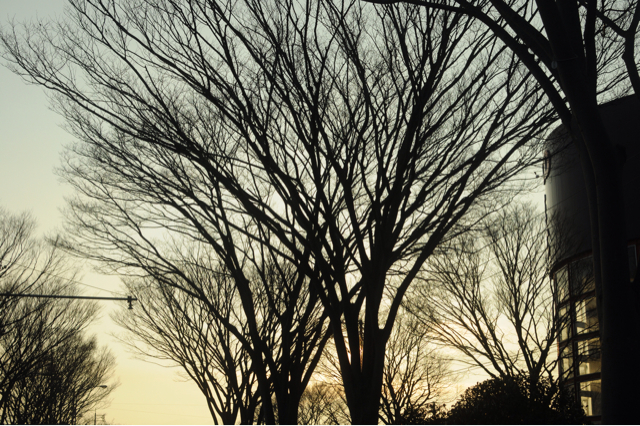 f:id:tsumutsumu2:20130201003418j:plain f:id:tsumutsumu2:20130201003418j:plain