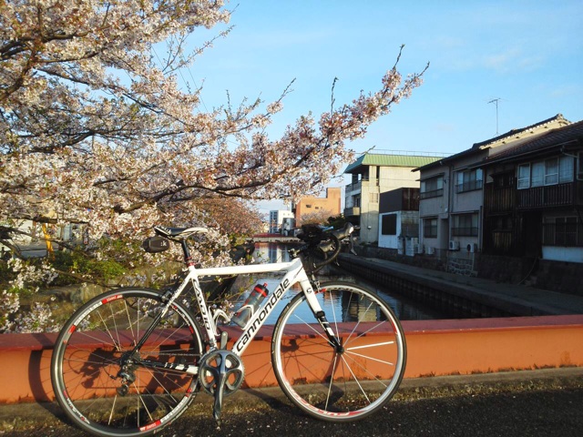 f:id:tsumutsumu2:20150409210803j:plain f:id:tsumutsumu2:20150409210803j:plain