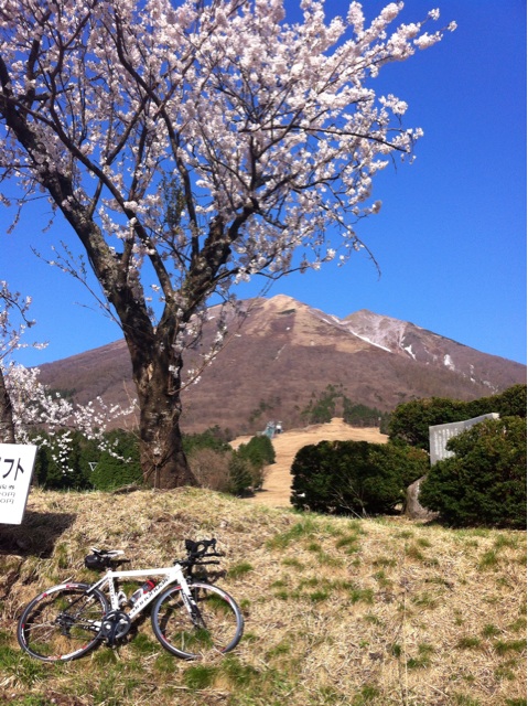 f:id:tsumutsumu2:20150417182028j:plain f:id:tsumutsumu2:20150417182028j:plain
