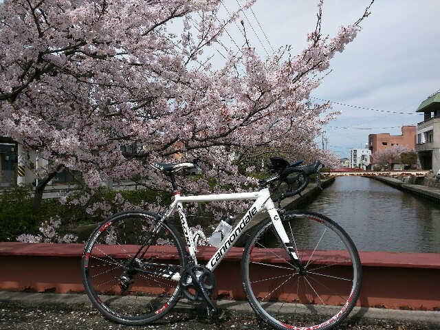 f:id:tsumutsumu2:20160405131101j:image f:id:tsumutsumu2:20160405131101j:image