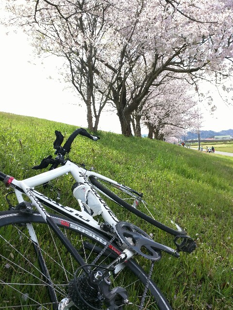 f:id:tsumutsumu2:20160405131127j:image f:id:tsumutsumu2:20160405131127j:image