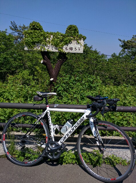 f:id:tsumutsumu2:20160517171444j:image f:id:tsumutsumu2:20160517171444j:image