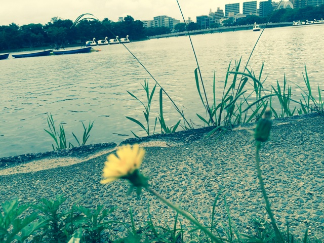 f:id:tsunashi:20140913012841j:plain f:id:tsunashi:20140913012841j:plain