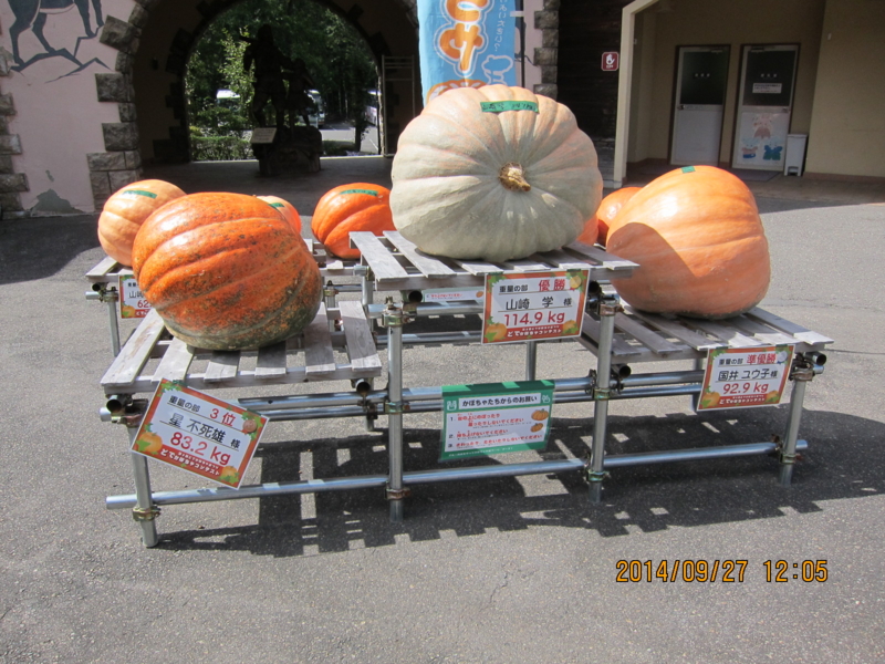 f:id:tsundokusyo:20140927120555j:plain