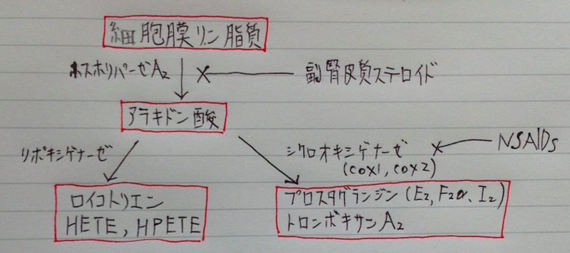 f:id:tsunepi:20140520070056p:plain