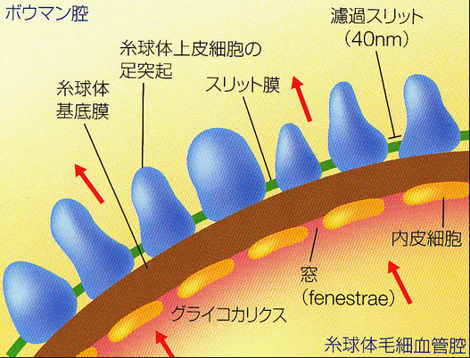 f:id:tsunepi:20140924235325p:plain