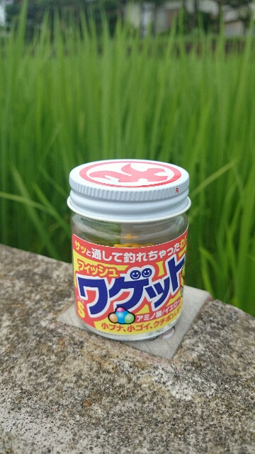 f:id:tsurikozo:20160719041433j:image f:id:tsurikozo:20160719041433j:image