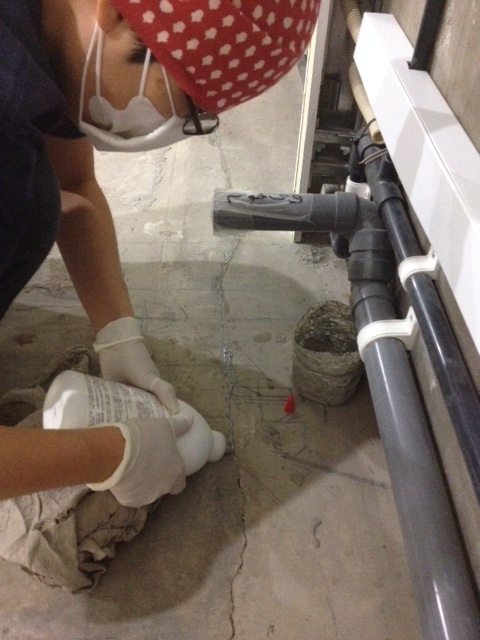 f:id:tsurubamisha:20150923224034j:plain f:id:tsurubamisha:20150923224034j:plain