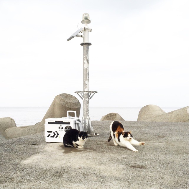 f:id:tsuruji00:20150326191452j:plain f:id:tsuruji00:20150326191452j:plain