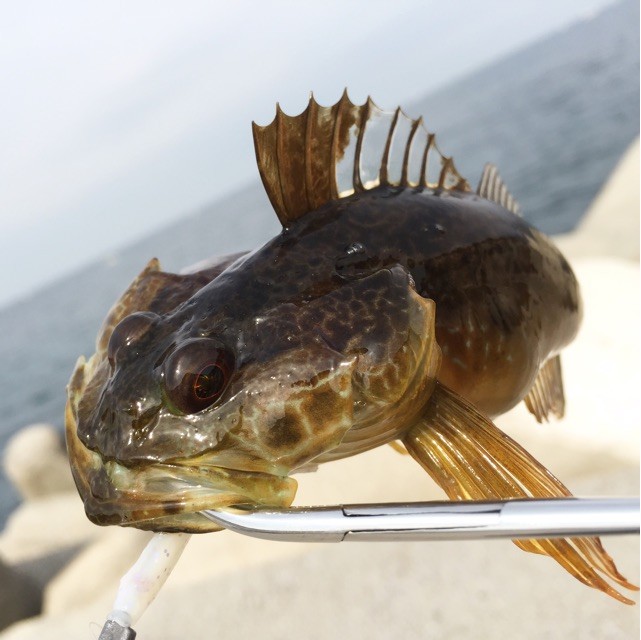 f:id:tsuruji00:20150326192139j:plain f:id:tsuruji00:20150326192139j:plain