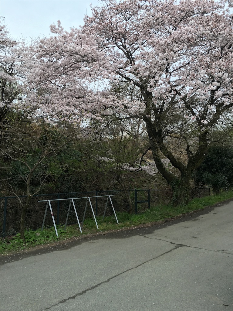 f:id:tsutsushi:20160402172837j:image f:id:tsutsushi:20160402172837j:image