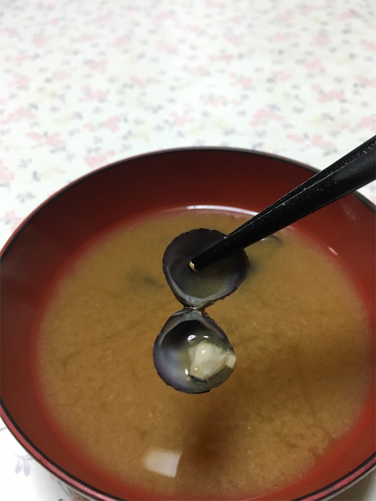 f:id:tsutsushi:20160407034455j:image f:id:tsutsushi:20160407034455j:image