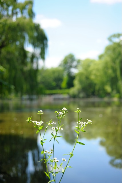 f:id:tsuu6a:20150710012108j:image f:id:tsuu6a:20150710012108j:image