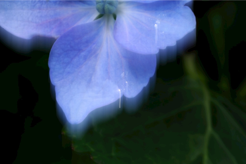 f:id:tsuu6a:20150719224917j:image f:id:tsuu6a:20150719224917j:image