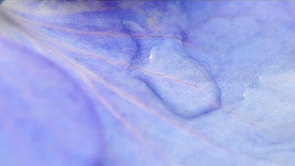 f:id:tsuu6a:20150719224935j:image f:id:tsuu6a:20150719224935j:image