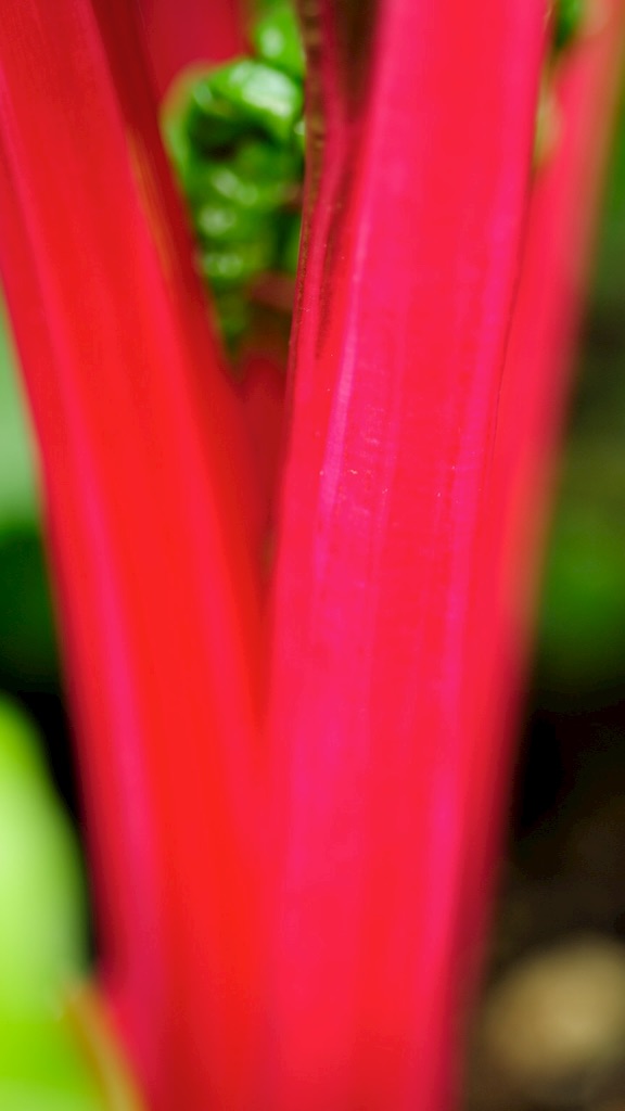 f:id:tsuu6a:20150719225021j:image f:id:tsuu6a:20150719225021j:image