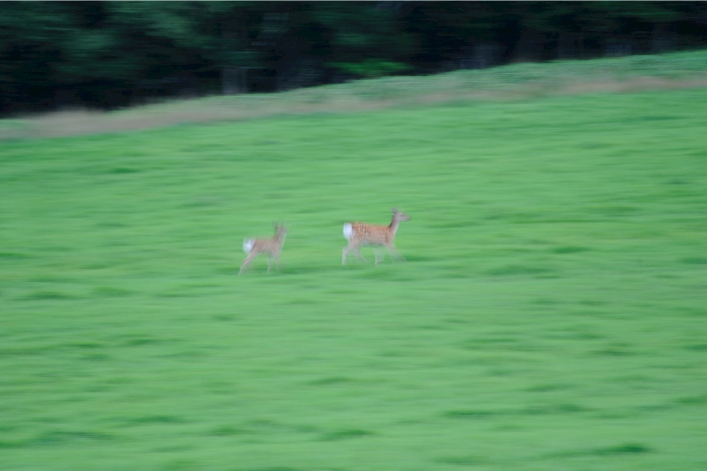 f:id:tsuu6a:20150820101708j:image f:id:tsuu6a:20150820101708j:image