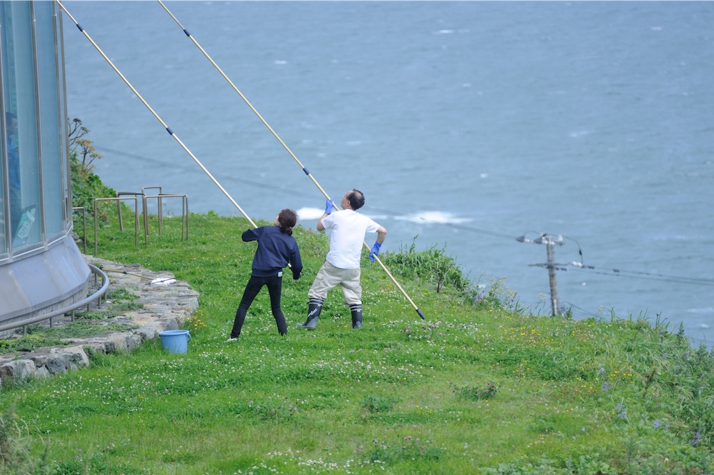 f:id:tsuu6a:20150820101928j:image f:id:tsuu6a:20150820101928j:image