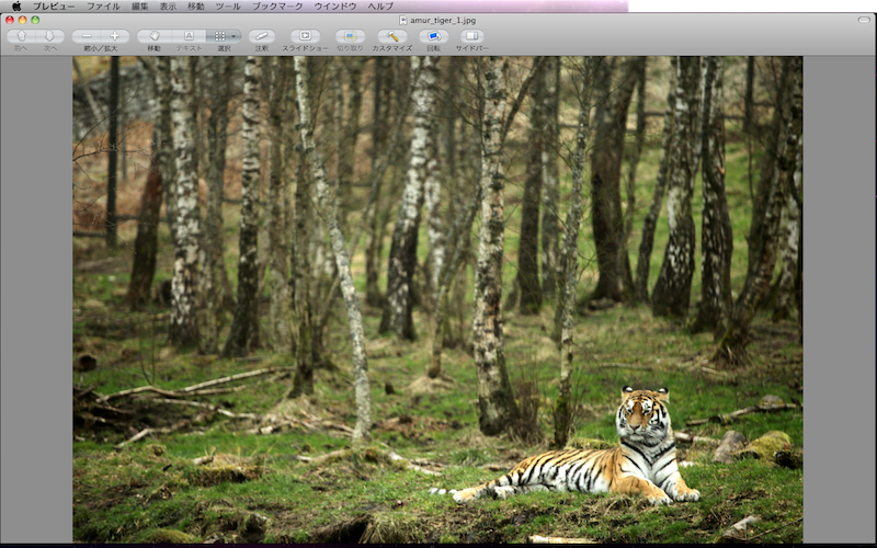 f:id:tubamenote:20150307041134p:plain f:id:tubamenote:20150307041134p:plain