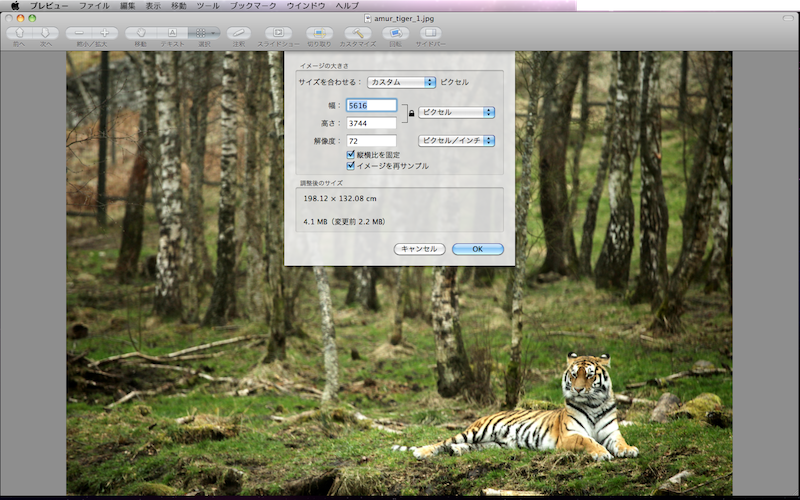 f:id:tubamenote:20150307041218p:plain f:id:tubamenote:20150307041218p:plain