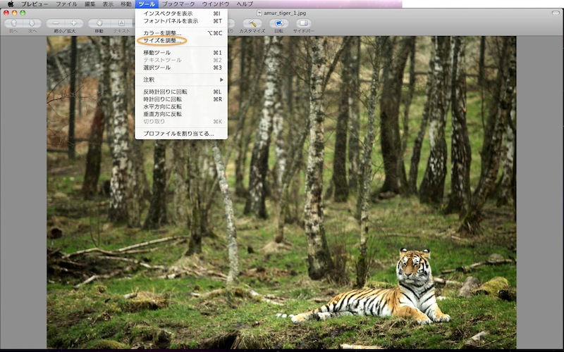 f:id:tubamenote:20150307041230j:plain f:id:tubamenote:20150307041230j:plain