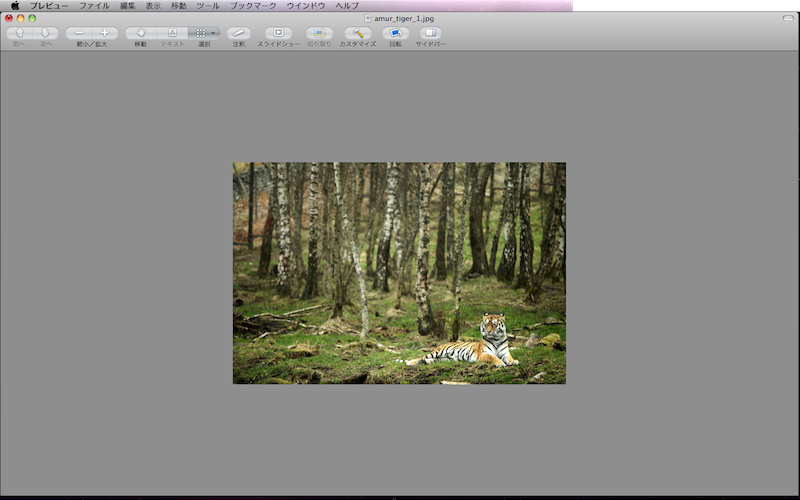 f:id:tubamenote:20150307041303p:plain f:id:tubamenote:20150307041303p:plain