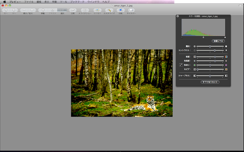 f:id:tubamenote:20150307041315p:plain f:id:tubamenote:20150307041315p:plain